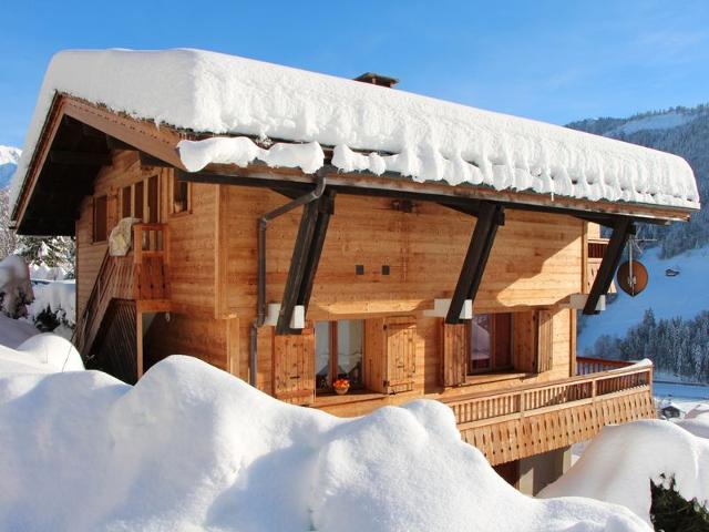 Cozy 2-room apartment with sunny terrace, near shuttle, pets allowed, parking FR-1-467-32 - Le Grand Bornand