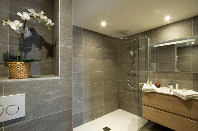 Apartements PHOENIX B - Alpe d'Huez