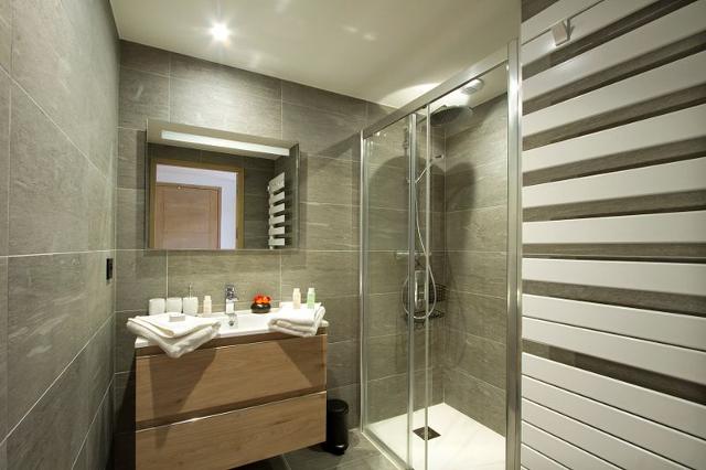 Apartements PHOENIX B - Alpe d'Huez
