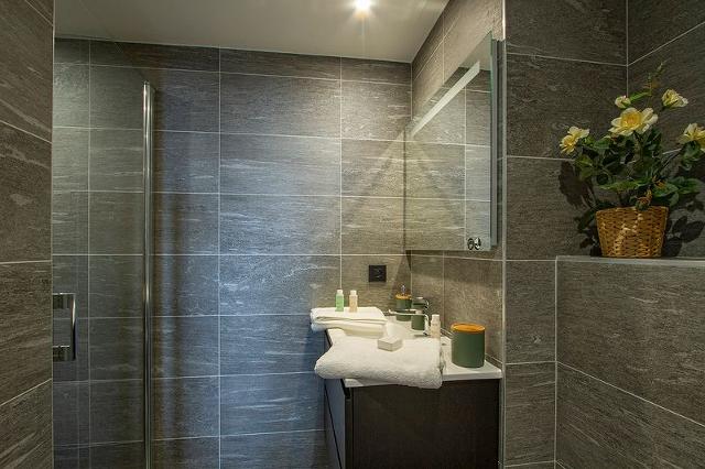 Apartements PHOENIX C - Alpe d'Huez