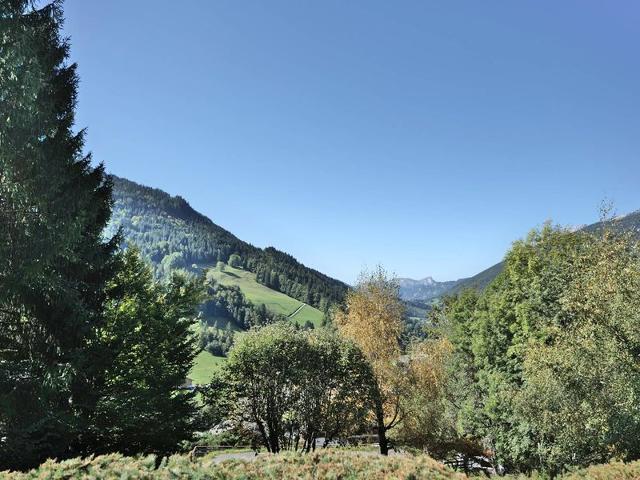 Résidence BELVEDERE 3 - Le Grand Bornand
