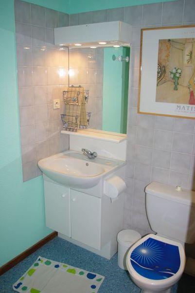 Apartements CYBELES - Brides les Bains