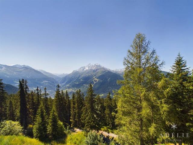 Appartment Le Diamant Des Cimes DIAMANT7 - La Rosière