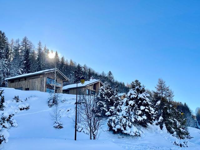 Gorgeous 6-room chalet, jacuzzi and sauna, near slopes in La Plagne Montalbert FR-1-755-24 - Plagne Montalbert