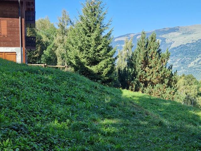 Résidence LES CHALETS DU PLANAY - Plagne Montalbert