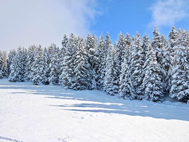 Résidence LE VERNON - Chamrousse