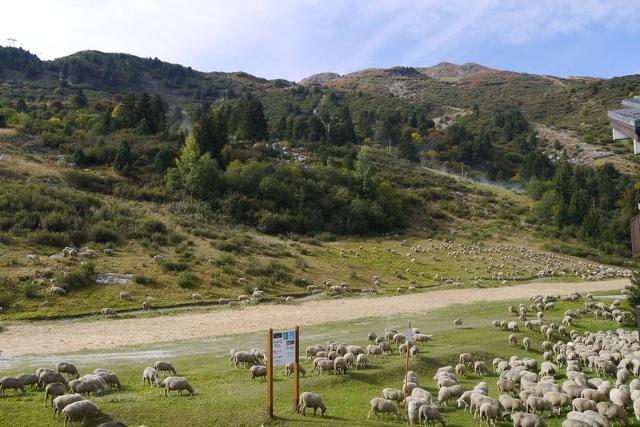Appartment Candide MO-CDEC12 - Méribel Les Allues 1200