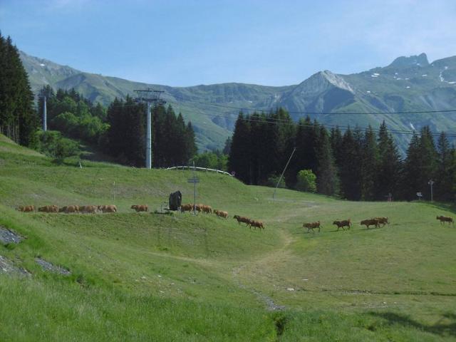 Appartment Pierrafort G VM-PRF013 - Valmorel