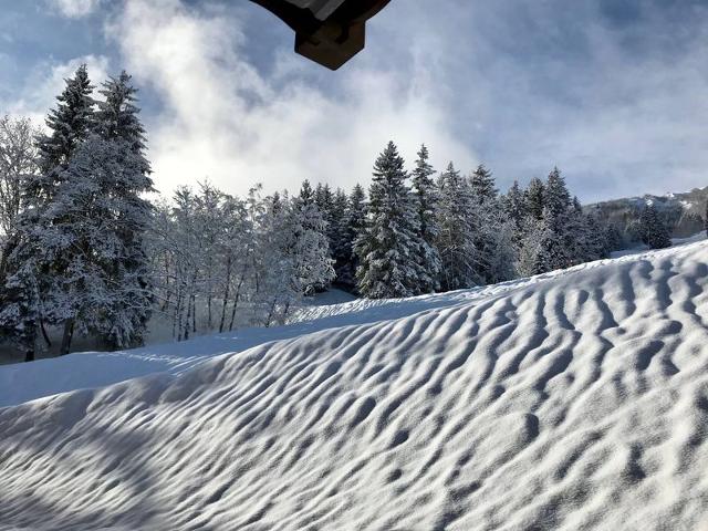 Appartment La Grange Aux Fees VM-GRFE09PH - Valmorel