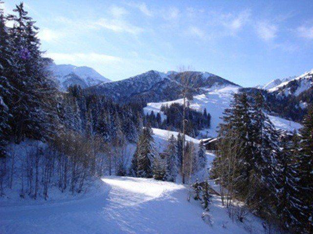 Appartment Cheval Blanc G VM-CHBC63 - Valmorel