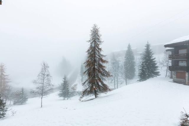 Appartment Jardins D'hiver G VM-JDH010 - Valmorel