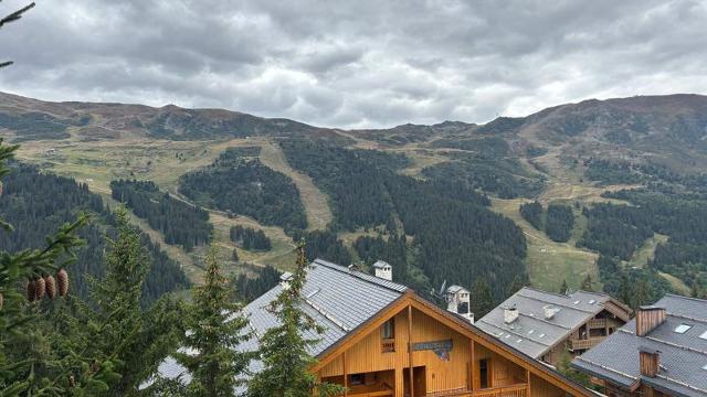 Apartements LES MYOSOTIS - Méribel Les Allues 1200
