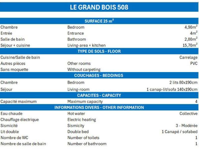 Apartements GRAND BOIS A - La Tania