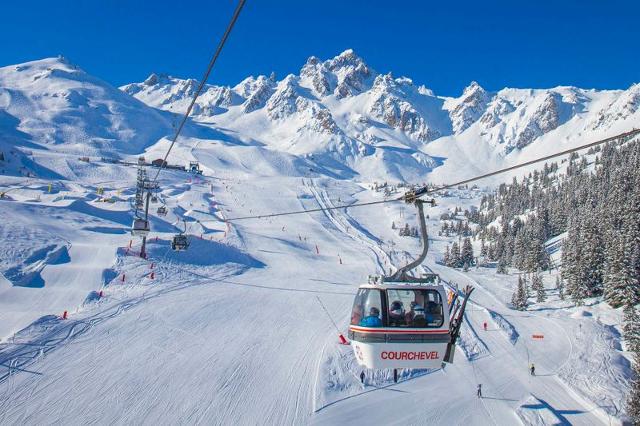 Apartements GRAND BOIS A - La Tania