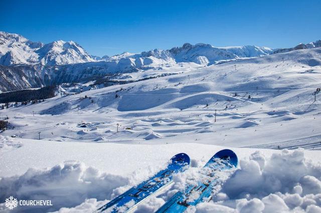 Apartements GRAND BOIS A - La Tania