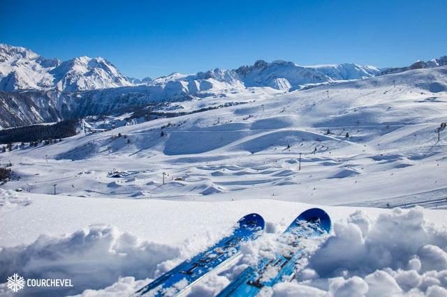 Apartements GRAND BOIS B - La Tania
