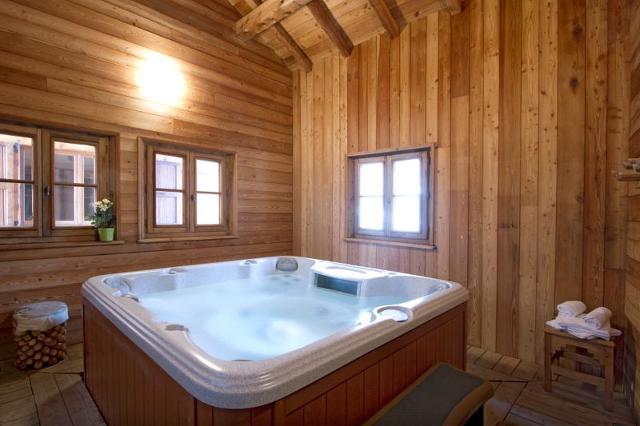 Chalet ALEXANDRE & CHARTREUSE - Les Deux Alpes Venosc