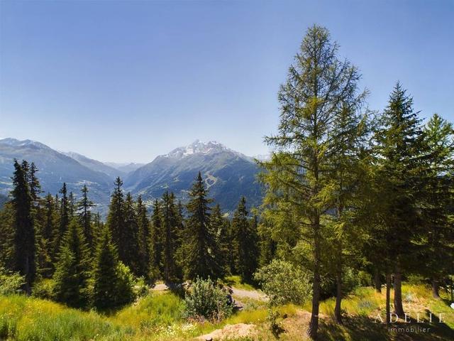 Appartment Le Diamant Des Cimes DIAMANT11 - La Rosière