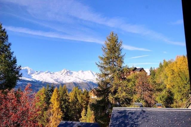 CHALET DE VALLANDRY - Vallandry