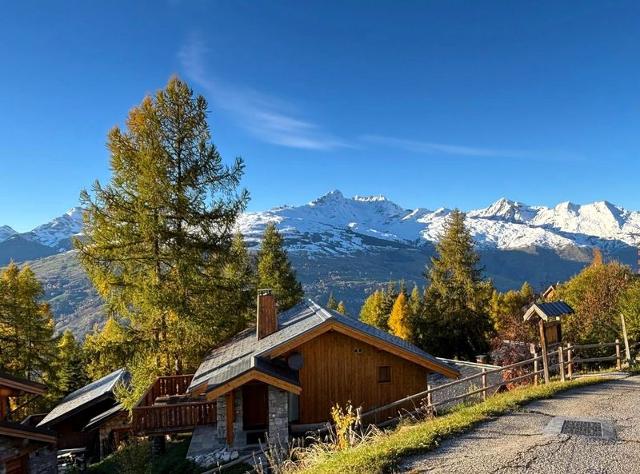 CHALET DE VALLANDRY - Vallandry