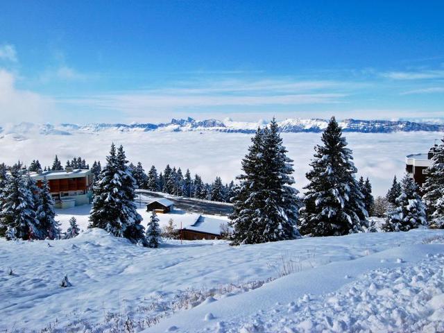 Résidence L'EDELWEISS - Chamrousse