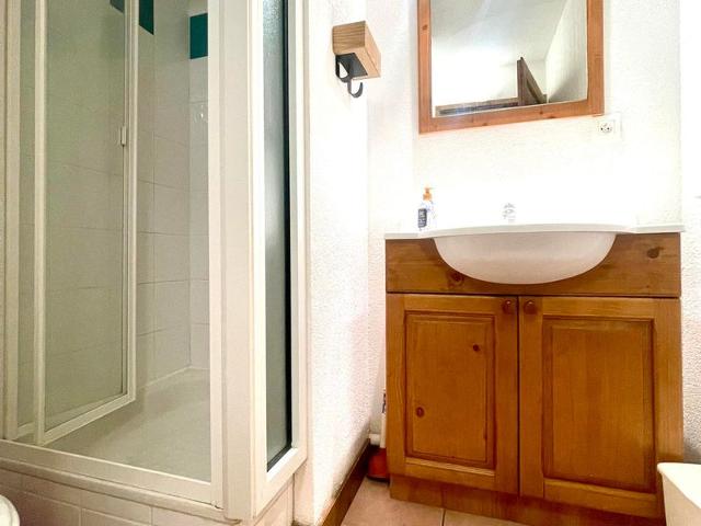 Triplex apartment with pool, parking, pets allowed FR-1-624-169 - Samoëns
