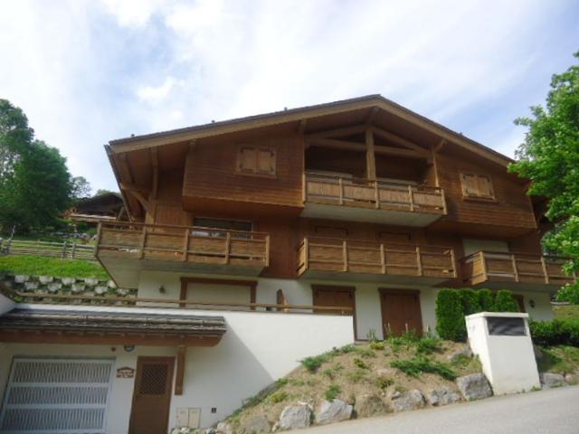 Cozy apartment near slopes with garage, WIFI, terrace - La Clusaz FR-1-459-234 - La Clusaz