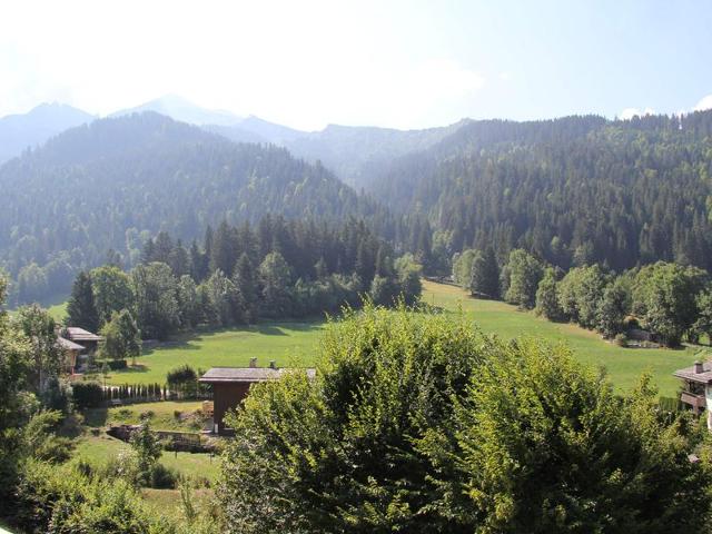 Cozy apartment near slopes with garage, WIFI, terrace - La Clusaz FR-1-459-234 - La Clusaz
