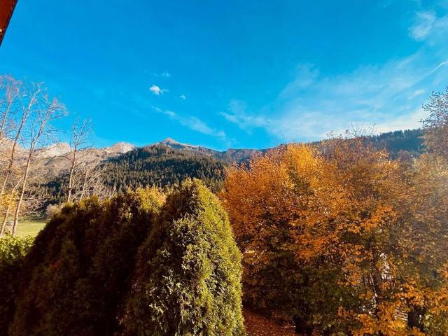 Cozy apartment near slopes with garage, WIFI, terrace - La Clusaz FR-1-459-234 - La Clusaz