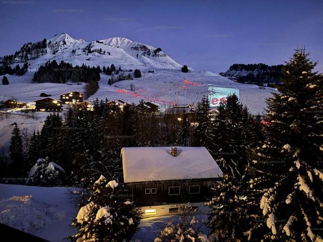 Spacious 2-room apartment for 5 in Chinaillon, balconies FR-1-458-211 - Le Grand Bornand
