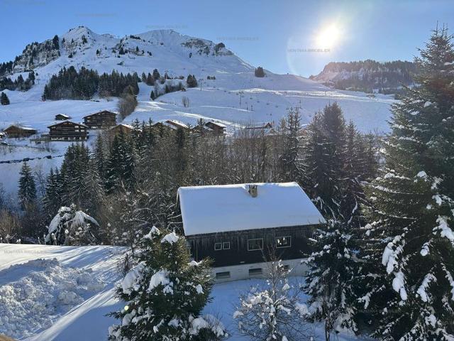 Spacious 2-room apartment for 5 in Chinaillon, balconies FR-1-458-211 - Le Grand Bornand
