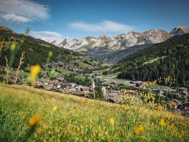 Charming Mountain Studio with Wellness Access, Sleeps 4 – Pets Welcome, Near Skiing & Village FR-1-467-29 - Le Grand Bornand