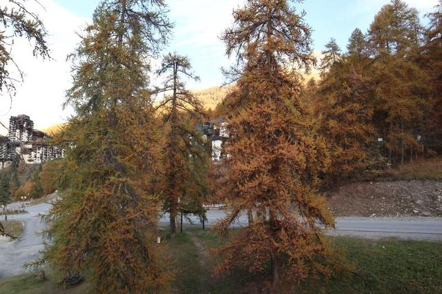Appartment La Chamoisiere 458 - Les Orres