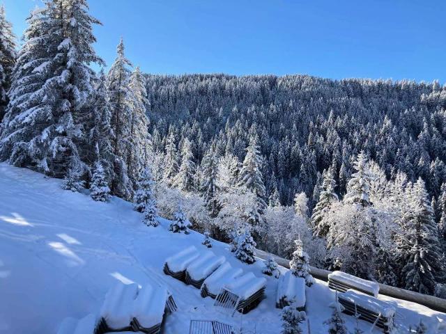 Residence Ariondaz Hellebore - Courchevel 1650