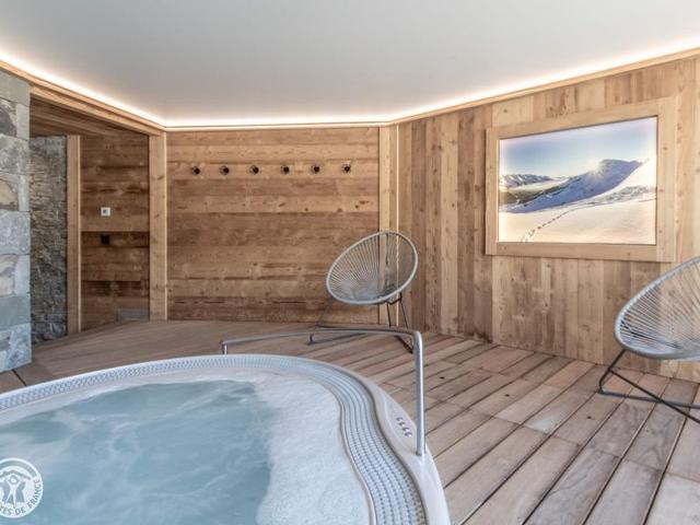 Cozy apartment with sauna and spa, ski-in location FR-1-467-141 - Le Grand Bornand