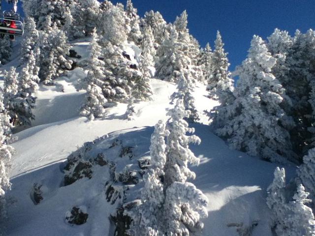 Résidence LE CHAMOIS - Chamrousse