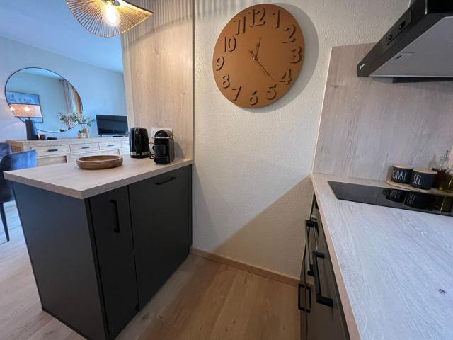 Design and cozy T2 in La Clusaz with south terrace and private garage FR-1-459-235 - La Clusaz