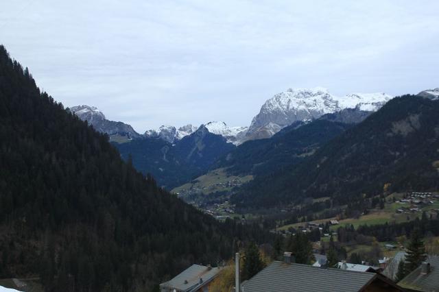Apartements Joran JR6 MOUNTAIN & NATURE 4 Pers. - Châtel