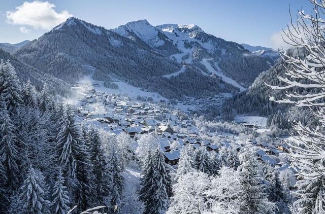 Apartements Le Linga LGB203 TELECABINE & MOUNTAIN 4 Pers - Châtel