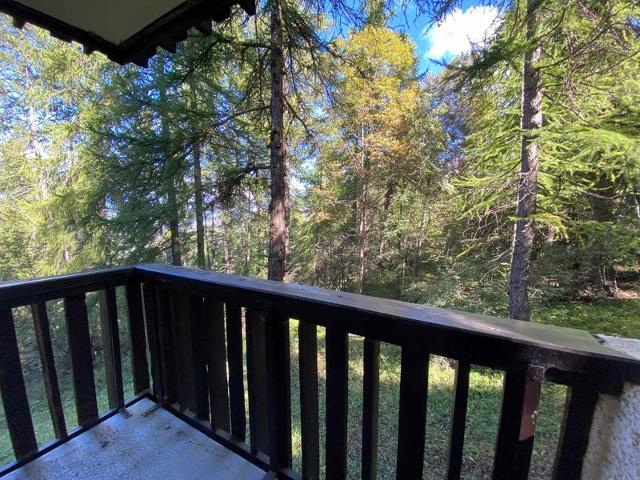 Apartements LES ROCHES BLANCHES - Les Orres