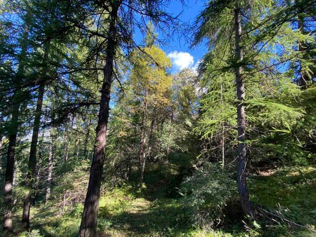 Apartements LES ROCHES BLANCHES - Les Orres