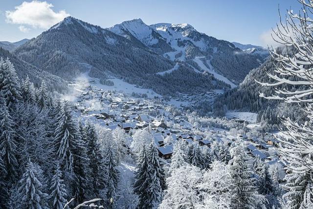 Apartements Hameau des 4 Saisons HSG226 MOUNTAIN & VIEW 6 Pers - Châtel