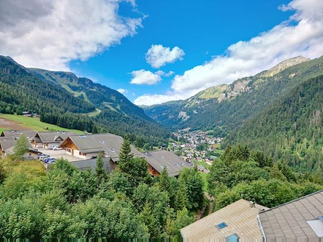 Apartements Fermes FMA23 COSY & MOUNTAIN 5 Pers. - Châtel
