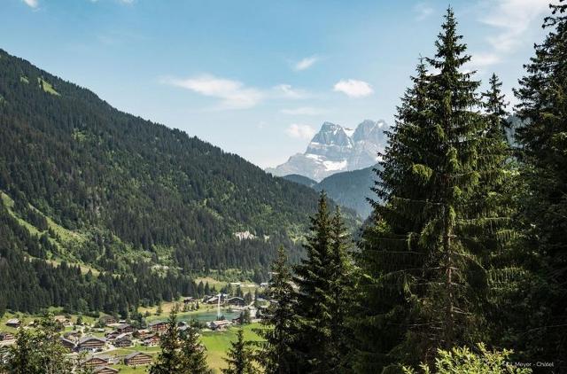 Apartements Alpage AGE8/9 VIEW & SUN 5 Pers. - Châtel