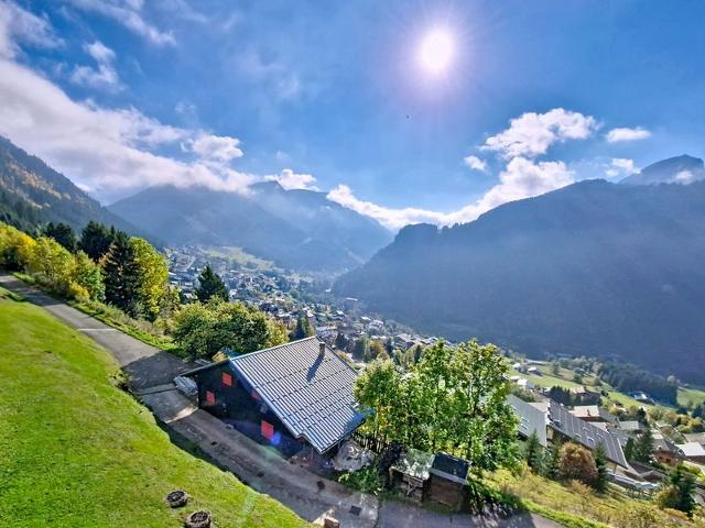 Studio ALPAGE AGA13 VIEW & MOUNTAIN 3 Pers. - Châtel
