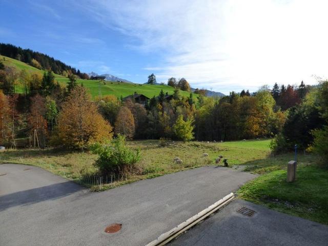 Charming 2 Rooms + Cabin - 6 People, South, Near Slopes FR-1-458-225 - Le Grand Bornand