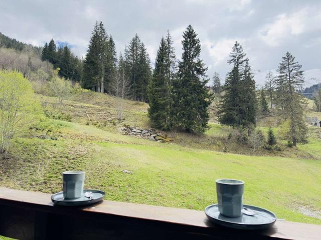 Appartment Cheval Noir CHN38FAL - Valmorel