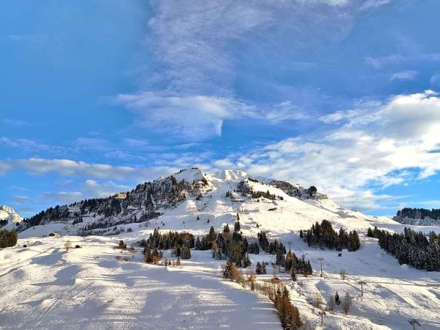 Résidence LA PETITE HERMINE - Le Grand Bornand