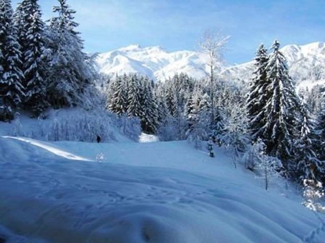 Résidence Cheval Blanc - Valmorel
