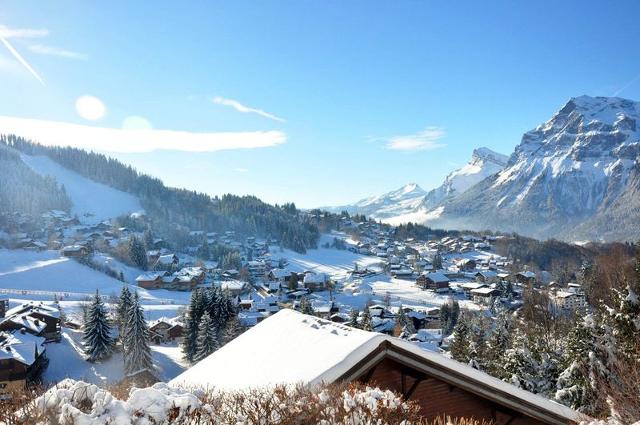 Appartment Mont Blanc MBA001 - Les Carroz d'Araches